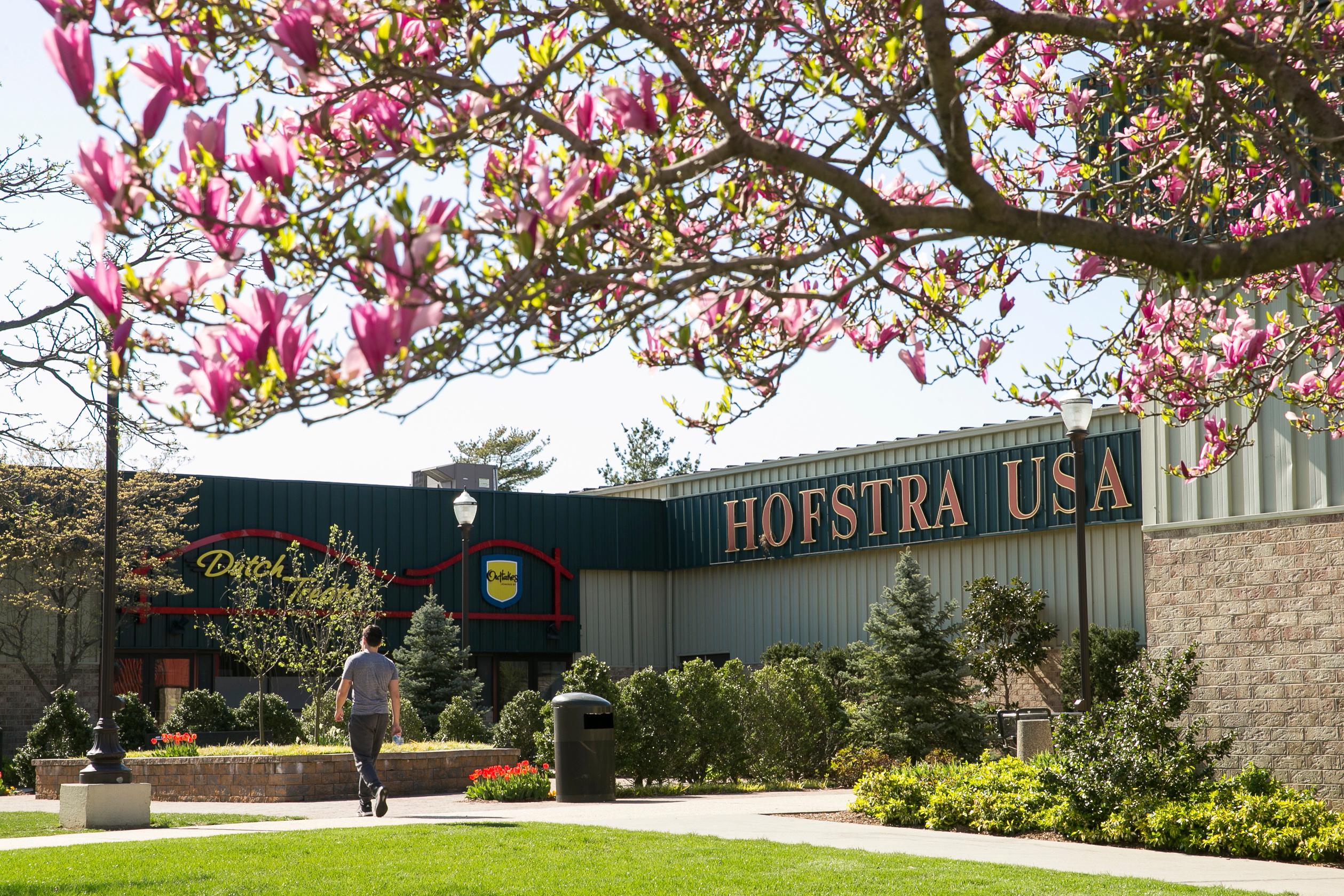 Hofstra male student walking around the exterior of the campus_36523.jpg